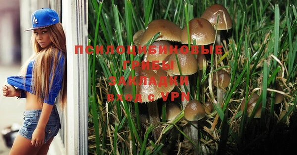 ПСИЛОЦИБИНОВЫЕ ГРИБЫ Магас