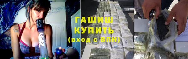 прущие грибы Лабытнанги