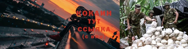 эйфоретик Баксан