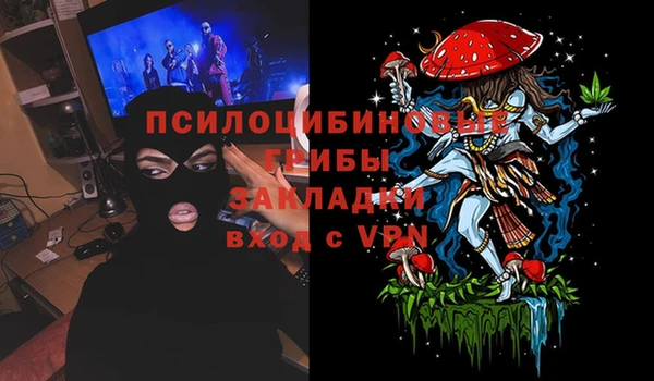 эйфоретик Баксан