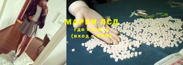 эйфоретик Баксан