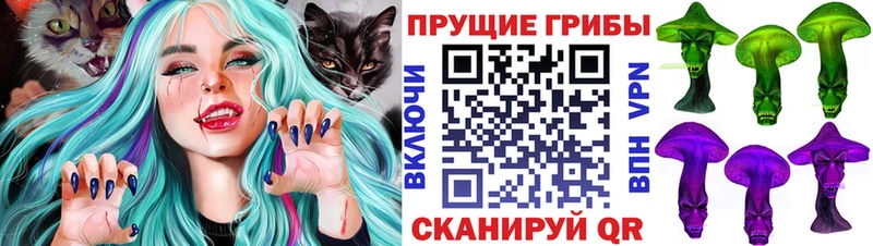 ОМГ ОМГ как войти купить наркоту Кушва Псилоцибиновые грибы Psilocybine cubensis
