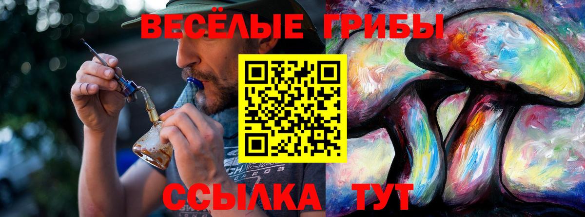 Псилоцибиновые грибы мухоморы Кушва