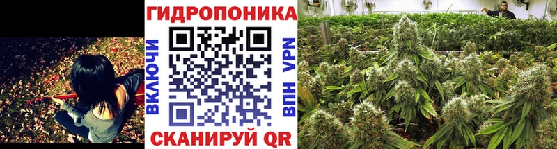 наркошоп Кушва Бошки марихуана Amnesia